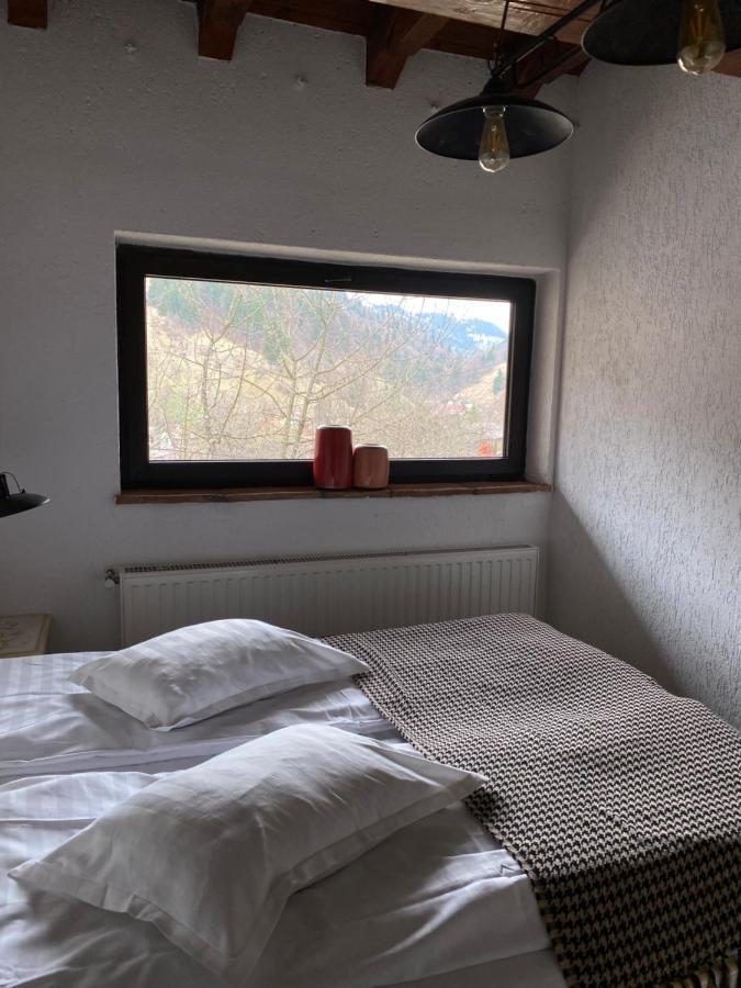 Pension Conacul Vanatorului Moeciu De Sus Buitenkant foto